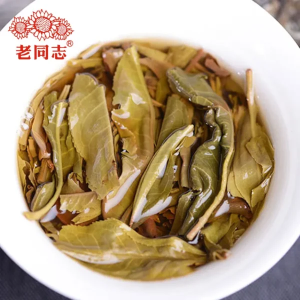 шен пуэр HAIWAN Zhang Jia San Dui 2021 bulang 500g nC337 — изображение 6