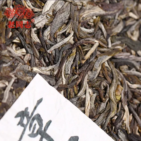 шен пуэр HAIWAN Zhang Jia San Dui 2021 bulang 500g nC337 — изображение 3