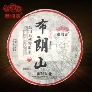 шен пуэр HAIWAN Zhang Jia San Dui 2021 bulang 500g nC337